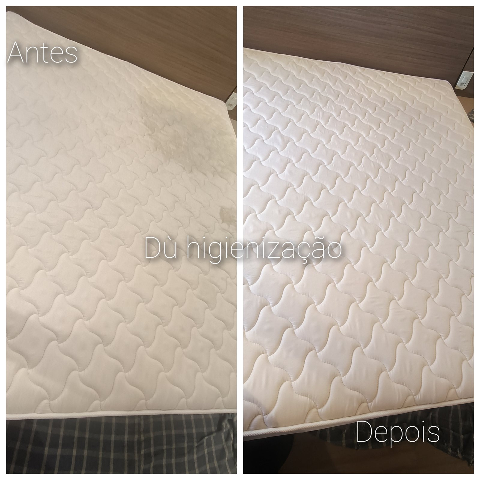 Foto 2 de Dù higienização