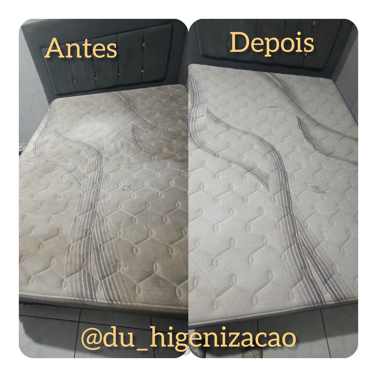 Foto 5 de Dù higienização